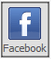 blue facebook login icon